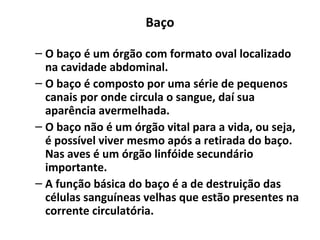 Baço
– O baço é um órgão com formato oval localizado
na cavidade abdominal.
– O baço é composto por uma série de pequenos
canais por onde circula o sangue, daí sua
aparência avermelhada.
– O baço não é um órgão vital para a vida, ou seja,
é possível viver mesmo após a retirada do baço.
Nas aves é um órgão linfóide secundário
importante.
– A função básica do baço é a de destruição das
células sanguíneas velhas que estão presentes na
corrente circulatória.
 