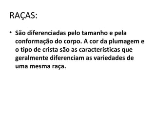 RAÇAS:
• São diferenciadas pelo tamanho e pela
conformação do corpo. A cor da plumagem e
o tipo de crista são as características que
geralmente diferenciam as variedades de
uma mesma raça.
 
