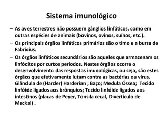 Sistema imunológico
– As aves terrestres não possuem gânglios linfáticos, como em
outras espécies de animais (bovinos, ovinos, suínos, etc.).
– Os principais órgãos linfáticos primários são o timo e a bursa de
Fabricius.
– Os órgãos linfáticos secundários são aqueles que armazenam os
linfócitos por curtos períodos. Nestes órgãos ocorre o
desenvolvimento das respostas imunológicas, ou seja, são estes
órgãos que efetivamente lutam contra as bactérias ou vírus.
Glândula de (Harder) Harderian ; Baço; Medula Óssea; Tecido
linfóide ligados aos brônquios; Tecido linfóide ligados aos
intestinos (placas de Peyer, Tonsila cecal, Divertículo de
Meckel) .
 