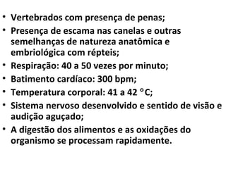 • Vertebrados com presença de penas;
• Presença de escama nas canelas e outras
semelhanças de natureza anatômica e
embriológica com répteis;
• Respiração: 40 a 50 vezes por minuto;
• Batimento cardíaco: 300 bpm;
• Temperatura corporal: 41 a 42 °C;
• Sistema nervoso desenvolvido e sentido de visão e
audição aguçado;
• A digestão dos alimentos e as oxidações do
organismo se processam rapidamente.
 