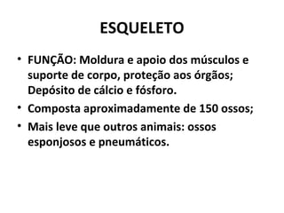 ESQUELETO
• FUNÇÃO: Moldura e apoio dos músculos e
suporte de corpo, proteção aos órgãos;
Depósito de cálcio e fósforo.
• Composta aproximadamente de 150 ossos;
• Mais leve que outros animais: ossos
esponjosos e pneumáticos.
 