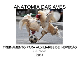 ANATOMIA DAS AVES
TREINAMENTO PARA AUXILIARES DE INSPEÇÃO
SIF 1798
2014
 