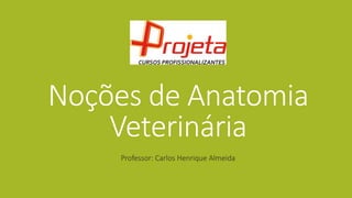 Noções de Anatomia
Veterinária
Professor: Carlos Henrique Almeida
 