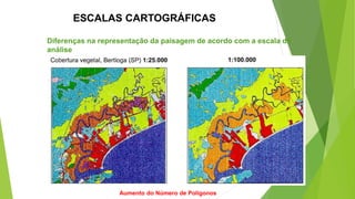 ESCALAS CARTOGRÁFICAS
Diferenças na representação da paisagem de acordo com a escala de
análise
Aumento do Número de Polígonos
 