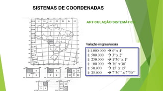 SISTEMAS DE COORDENADAS
ARTICULAÇÃO SISTEMÁTICA
 