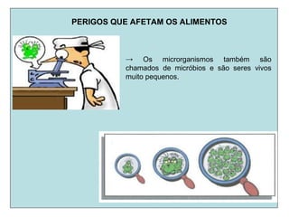 PERIGOS QUE AFETAM OS ALIMENTOS
→ Os microrganismos também são
chamados de micróbios e são seres vivos
muito pequenos.
 