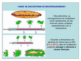 ONDE SE ENCONTRAM OS MICRORGANISMOS?
→Nos alimentos, os
microrganismos se multiplicam
muito rapidamente se não
tivermos certos cuidados,
especialmente com a
temperatura.
→Quando a temperatura do
alimento for ótima para os MO
(5°C a 65°C), eles se multiplicam,
podendo estragar o alimento e
causar doenças.
 