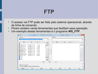 FTP

    O acesso via FTP pode ser feito pelo sistema operacional, através
    de linha de comando.

    Porem existem varias ferramentas que facilitam essa operação.

    Um exemplo destas ferramentas é o programa WS_FTP.
 