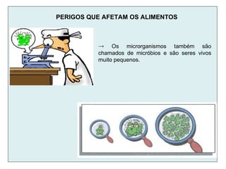 PERIGOS QUE AFETAM OS ALIMENTOS
→ Os microrganismos também são
chamados de micróbios e são seres vivos
muito pequenos.
 
