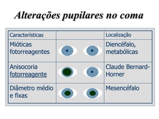 Noções de Exame Neurológico - Parte II - Profa. Rilva | PPT