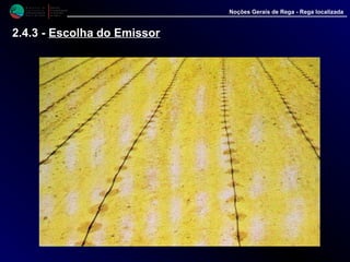 M i n i s t é r i o d a
A g r i c u l t u r a ,
do Desenvolvimento
Rural e das Pescas
DRAALG
Direcção Regional
de Agricultura
do Algarve
Noções Gerais de Rega - Rega localizada
2.4.3 - Escolha do Emissor
 