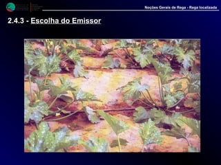 M i n i s t é r i o d a
A g r i c u l t u r a ,
do Desenvolvimento
Rural e das Pescas
DRAALG
Direcção Regional
de Agricultura
do Algarve
Noções Gerais de Rega - Rega localizada
2.4.3 - Escolha do Emissor
 