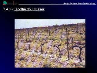 M i n i s t é r i o d a
A g r i c u l t u r a ,
do Desenvolvimento
Rural e das Pescas
DRAALG
Direcção Regional
de Agricultura
do Algarve
Noções Gerais de Rega - Rega localizada
2.4.3 - Escolha do Emissor
 