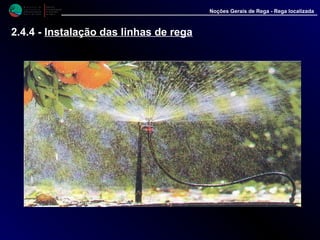 M i n i s t é r i o d a
A g r i c u l t u r a ,
do Desenvolvimento
Rural e das Pescas
DRAALG
Direcção Regional
de Agricultura
do Algarve
Noções Gerais de Rega - Rega localizada
2.4.4 - Instalação das linhas de rega
 