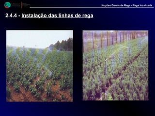 M i n i s t é r i o d a
A g r i c u l t u r a ,
do Desenvolvimento
Rural e das Pescas
DRAALG
Direcção Regional
de Agricultura
do Algarve
Noções Gerais de Rega - Rega localizada
2.4.4 - Instalação das linhas de rega
 