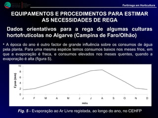M i n i s t é r i o d a
A g r i c u l t u r a ,
do Desenvolvimento
Rural e das Pescas
DRAALG
Direcção Regional
de Agricultura
do Algarve
Fertirrega em Horticultura
M i n i s t é r i o d a
A g r i c u l t u r a ,
do Desenvolvimento
Rural e das Pescas
DRAALG
Direcção Regional
de Agricultura
do Algarve
Fertirrega em Horticultura
EQUIPAMENTOS E PROCEDIMENTOS PARA ESTIMAR
AS NECESSIDADES DE REGA
Dados orientativos para a rega de algumas culturas
hortofrutícolas no Algarve (Campina de Faro/Olhão)
• Para estimar a quantidade de água a aplicar em cada rega podemos
tomar como referência a evapotranspiração da cultura ou a humidade
do solo.
• Como já foi referido, ao falar da tina de classe A e dos tensiómetros,
no primeiro caso os cálculos são feitos com base na formula:
- Rega = Eto * Kc * p , em (l/m²);
• No segundo caso, deixamos o solo secar até um valor previamente
estabelecido, aplicando depois uma quantidade de água que reponha a
que foi consumida pela cultura.
• Na prática os dois métodos completam-se, podendo o agricultor
tomar como referência os valores calculados com base na evaporação,
servindo depois os tensiómetros para os acertos e correcções que seja
necessário efectuar.
 