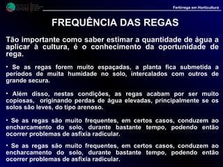 M i n i s t é r i o d a
A g r i c u l t u r a ,
do Desenvolvimento
Rural e das Pescas
DRAALG
Direcção Regional
de Agricultura
do Algarve
Fertirrega em Horticultura
M i n i s t é r i o d a
A g r i c u l t u r a ,
do Desenvolvimento
Rural e das Pescas
DRAALG
Direcção Regional
de Agricultura
do Algarve
Fertirrega em Horticultura
FREQUÊNCIA DAS REGAS
Para a escolha da melhor oportunidade para a rega
podemos tomar como referência a água existente
no solo.
• Nestas condições os tensiómetros, são, como já vimos,
um óptimo auxiliar.
• Na prática, para a maioria das culturas, as regas terão
lugar quando se registam valores acima dos 20 a 30
centibares
• São de evitar regas muito copiosas, de modo a que estes
aparelhos não acusem valores abaixo dos 10 centibares, na
camada superficial, até 30 a 40 cm de profundidade, região
onde se desenvolvem a maioria das raízes activas.
 