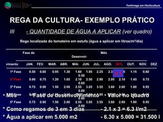 M i n i s t é r i o d a
A g r i c u l t u r a ,
do Desenvolvimento
Rural e das Pescas
DRAALG
Direcção Regional
de Agricultura
do Algarve
Fertirrega em Horticultura
M i n i s t é r i o d a
A g r i c u l t u r a ,
do Desenvolvimento
Rural e das Pescas
DRAALG
Direcção Regional
de Agricultura
do Algarve
Fertirrega em Horticultura
REGA DA CULTURAREGA DA CULTURA-- EXEMPLO PRÁTICOEXEMPLO PRÁTICO
IIIIII -- QUANTIDADE DE ÁGUA A APLICARQUANTIDADE DE ÁGUA A APLICAR
ASSIM, UMA ESTUFA DE 5.000 M2, COM UMA
CULTURA DE TOMATE NA 2ª FASE DE
DESENVOLVIMENTO, NO MÊS DE SETEMBRO,
DEVERÁ SER REGADA COM 31.500 LITROS DE
ÁGUA DE 3 EM 3 DIAS
NOTA: - Para controlar a quantidade de água
deverá dispor-se de um contador, ou, sabendo o
número e o débito dos emissores, calcular por
aproximação o tempo de rega.
 