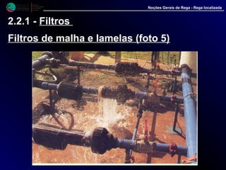 M i n i s t é r i o d a
A g r i c u l t u r a ,
do Desenvolvimento
Rural e das Pescas
DRAALG
Direcção Regional
de Agricultura
do Algarve
Noções Gerais de Rega - Rega localizada
2.2.1 - Filtros
Filtros de malha e lamelas (foto 5)
 