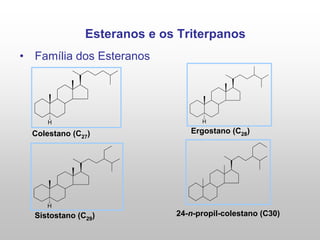 Esteranos e os Triterpanos
• Família dos Esteranos
H
Colestano (C27)
H
Ergostano (C28)
H
Sistostano (C29) 24-n-propil-colestano (C30)
 