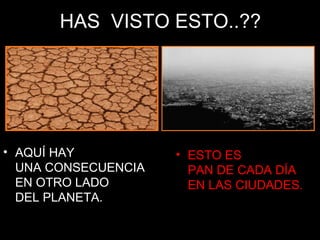 HAS  VISTO ESTO..?? AQUÍ HAY  UNA CONSECUENCIA EN OTRO LADO  DEL PLANETA. ESTO ES  PAN DE CADA DÍA EN LAS CIUDADES. 