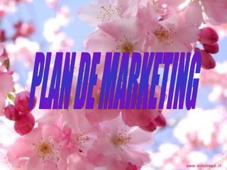 PLAN DE MARKETING 