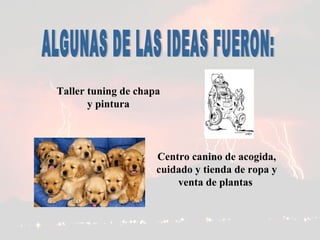 Taller tuning de chapa y pintura Centro canino de acogida, cuidado y tienda de ropa y venta de plantas  ALGUNAS DE LAS IDEAS FUERON: 
