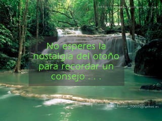 No esperes la nostalgia del otoño para recordar un consejo . . . 