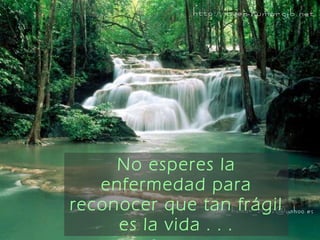 No esperes la enfermedad para reconocer que tan frágil   es la vida . . . 