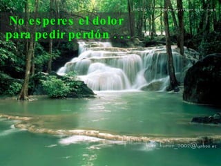 No esperes el dolor  para pedir perdón . . . 