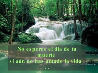 No esperes el día de tu muerte  si aún no has amado la   vida . . . 