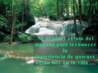 No esperes el luto del mañana para reconocer la importancia de quienes están hoy en tu vida ... 