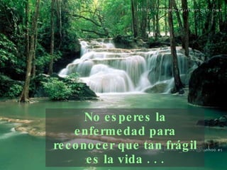 No esperes la enfermedad para reconocer que tan frágil   es la vida . . . 