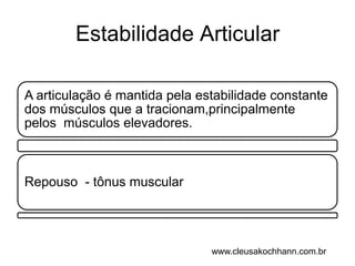 Estabilidade Articularwww.cleusakochhann.com.br