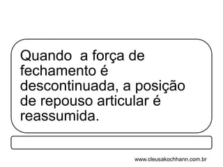www.cleusakochhann.com.br