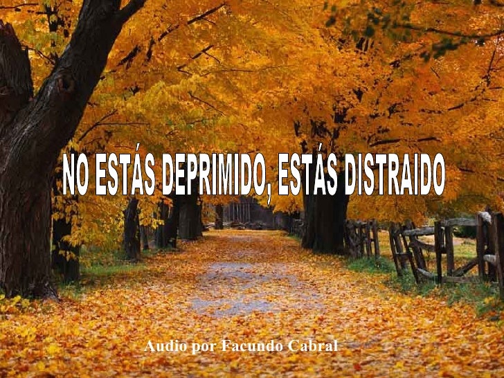 No Estas Deprimido Estas Distraido