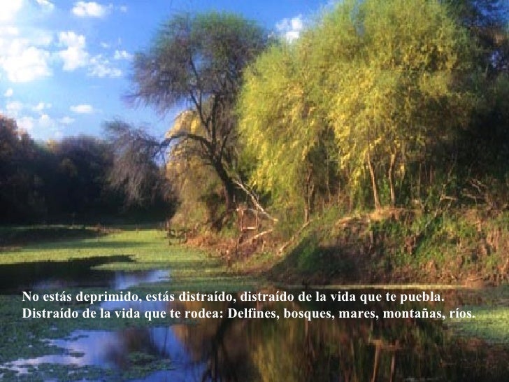No Estas Deprimido Estas Distraido