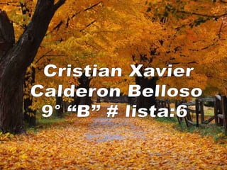 Cristian Xavier Calderon Belloso 9° “B” # lista:6 