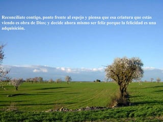 Reconcíliate contigo, ponte frente al espejo y piensa que esa criatura que estás viendo es obra de Dios; y decide ahora mismo ser feliz porque la felicidad es una adquisición. 