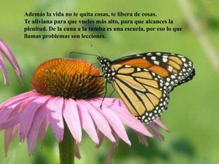 Además la vida no te quita cosas, te libera de cosas. Te aliviana para que vueles más alto, para que alcances la plenitud. De la cuna a la tumba es una escuela, por eso lo que llamas problemas son lecciones.