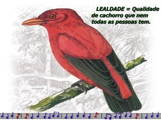 LEALDADE = Qualidade de cachorro que nem todas as pessoas tem. 