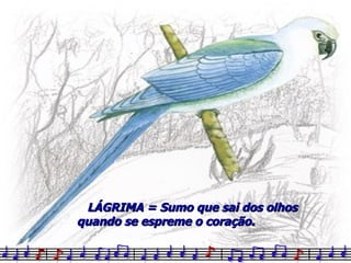 LÁGRIMA = Sumo que sai dos olhos quando se espreme o coração. 