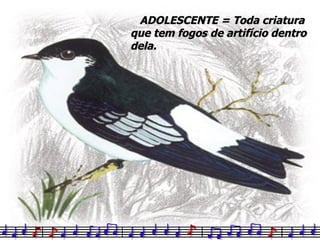 ADOLESCENTE = Toda criatura que tem fogos de artifício dentro dela. 