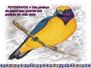 FOTOGRAFIA = Um pedaço de papel que guarda um pedaço de vida nele. 