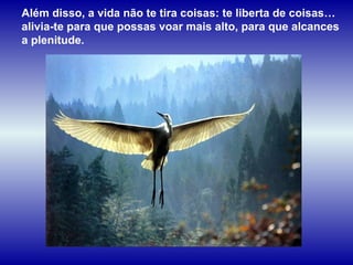 Além disso, a vida não te tira coisas: te liberta de coisas…
alivia-te para que possas voar mais alto, para que alcances
a plenitude.
 