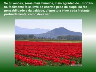 Se tu vences, serás mais humilde, mais agradecido... Portan-
to, facilmente feliz, livre do enorme peso da culpa, da res-
ponsabilidade e da vaidade, disposto a viver cada instante
profundamente, como deve ser.
 