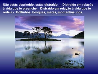 Não estás deprimido, estás distraído … Distraído em relação
à vida que te preenche,.. Distraído em relação à vida que te
rodeia - Golfinhos, bosques, mares, montanhas, rios.
 