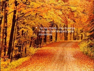 No hay muerte... hay mudanza.  Y del otro lado te espera gente maravillosa: 