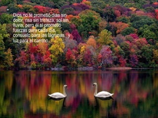 Dios no te prometió días sin dolor, risa sin tristeza, sol sin lluvia, pero él sí prometió fuerzas para cada día, consuelo para las lágrimas,  y luz para el camino .  