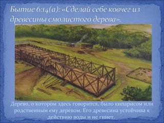 Дерево, о котором здесь говорится, было кипарисом или
 родственным ему деревом. Его древесина устойчива к
              действию воды и не гниет.
 